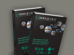 dev guide ebook